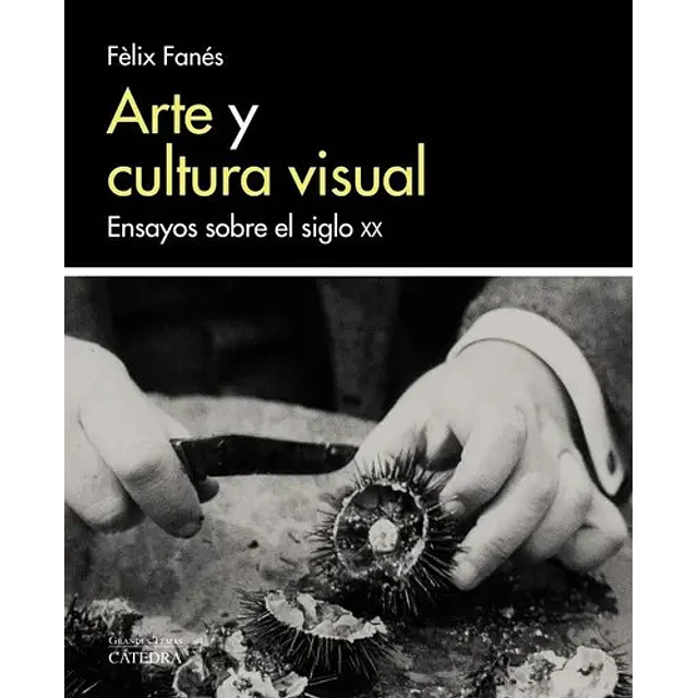 Arte y cultura visual