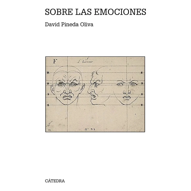 Sobre las emociones