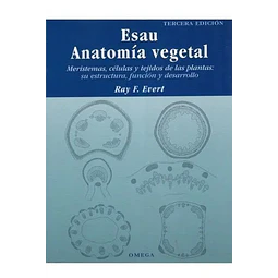 Esau Anatomía Vegetal
