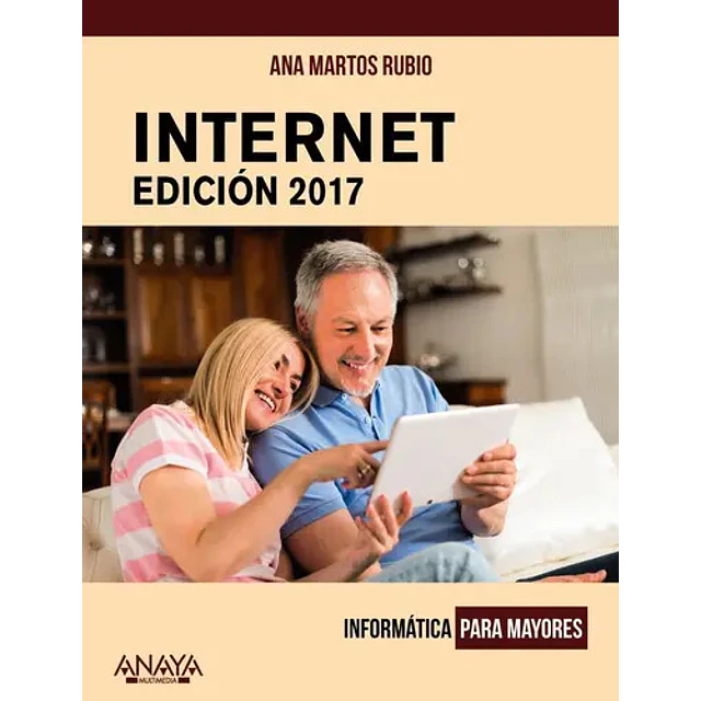 Internet 2017