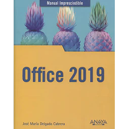 Office 2019 Manual imprescindible