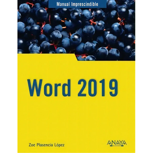 Word 2019 Manual imprescindible