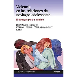 Violencia en las relaciones de noviazgo adolescente
