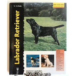 Labrador Retriever