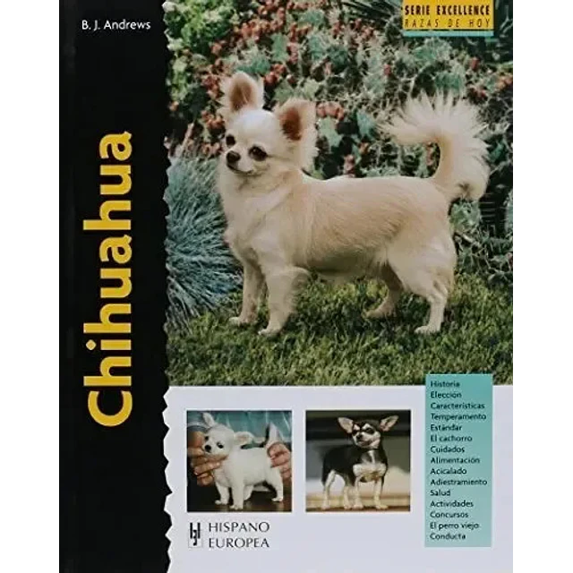 Chihuahua