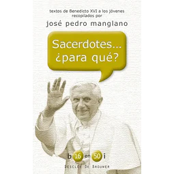 Sacerdotes ¿ para qué ?