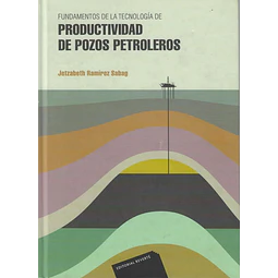 Fundamentos de la tecnología de productividad de pozos petroleros