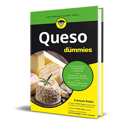 Queso para dummies