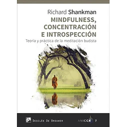 Mindfulness, concentración e introspección
