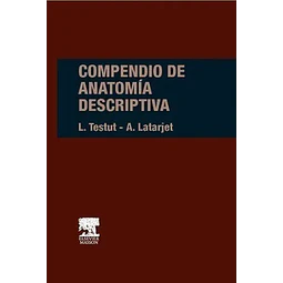 Compendio de Anatomía Descriptiva