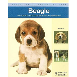 Beagle