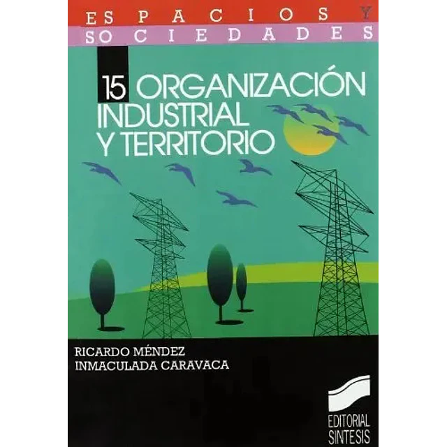 Organización industrial y territorio