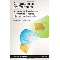 Competencias Profesionales