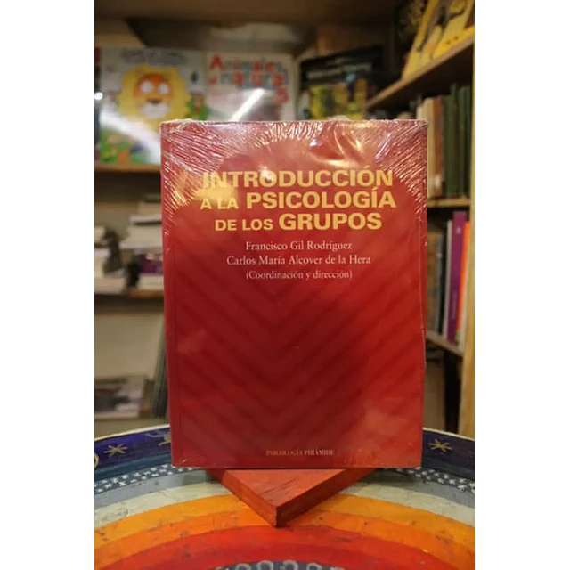 Introducción a la psicología de los grupos
