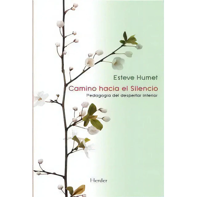 Camino hacia el Silencio