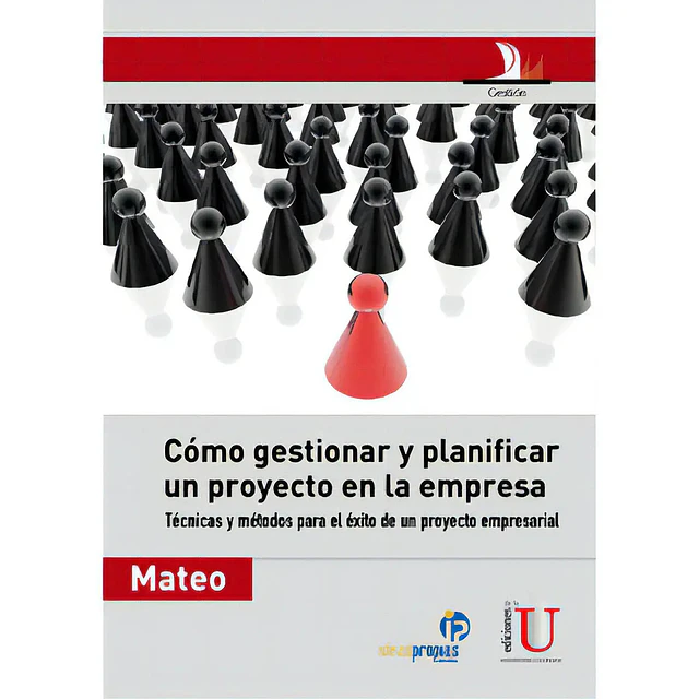 Como gestionar y planificar un proyecto en la empresa