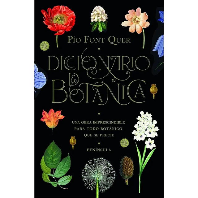 Diccionario de Botanica