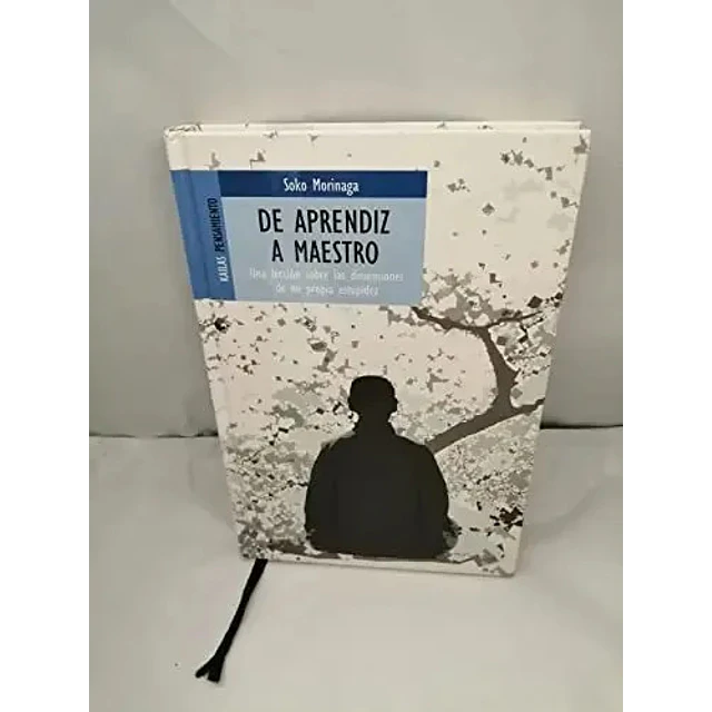 De Aprendiz a Maestro