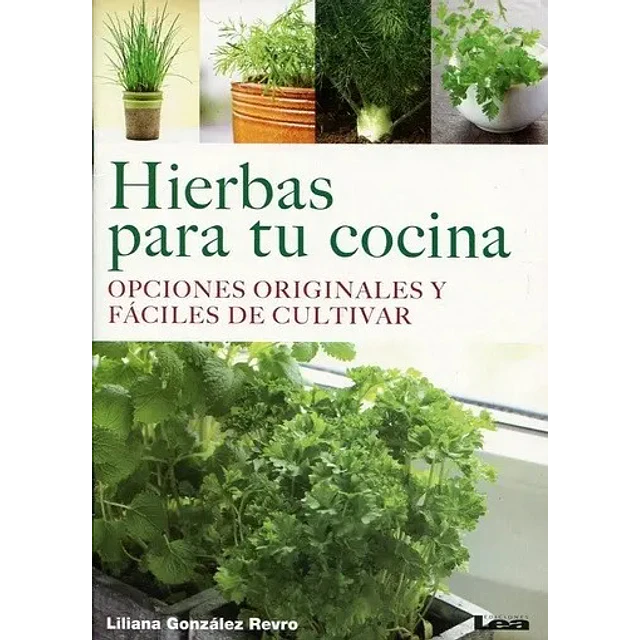 Hierbas para tu cocina