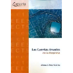 Las Cuentas Anuales en la Empresa