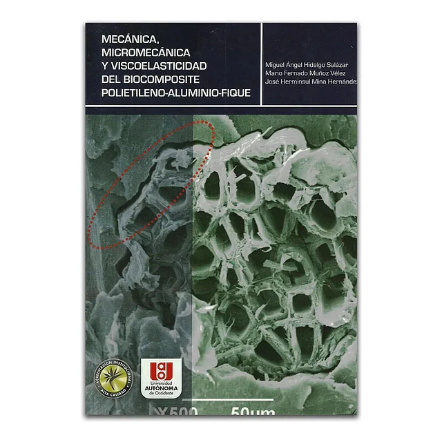 Mecánica Micromecánica y viscoelasticidad del Biocomponente Polietileno-Aluminio-Fique