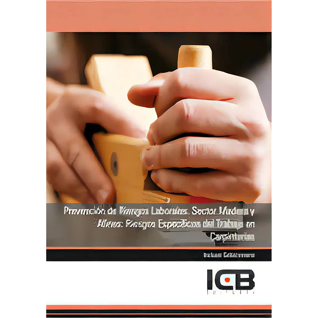 Prevención de Riesgos Laborales. Sector Madera y Afines : Riesgos Especifícos del