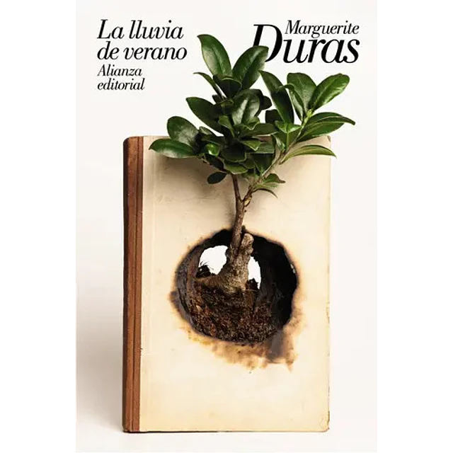 LA lluvia de verano