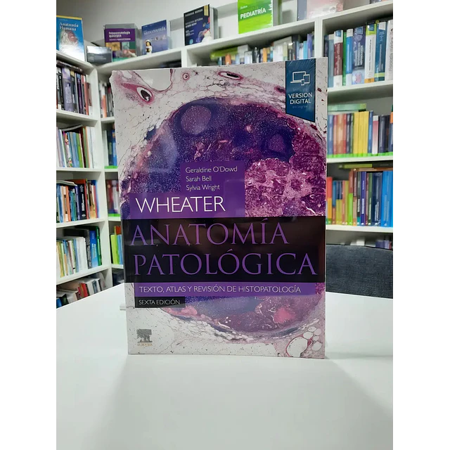 Anatomía Patológica Wheater
