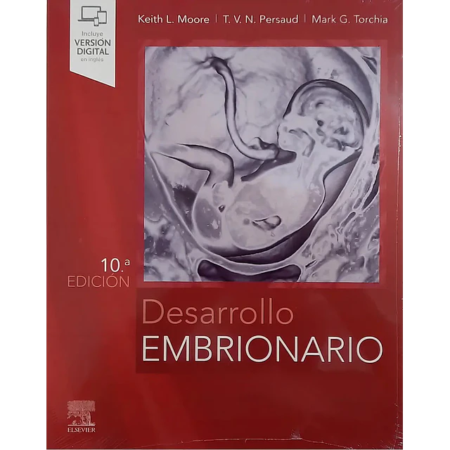 Desarrollo embrionario