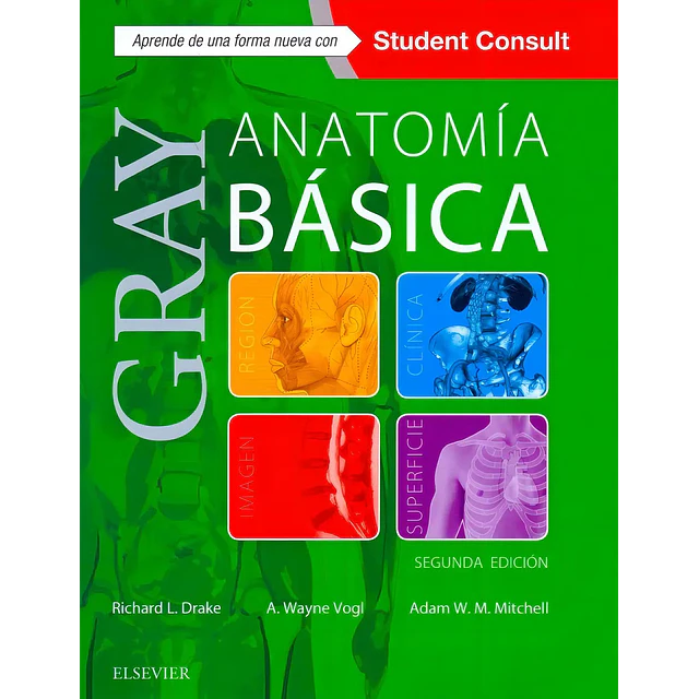 Gray Anatomía Básica