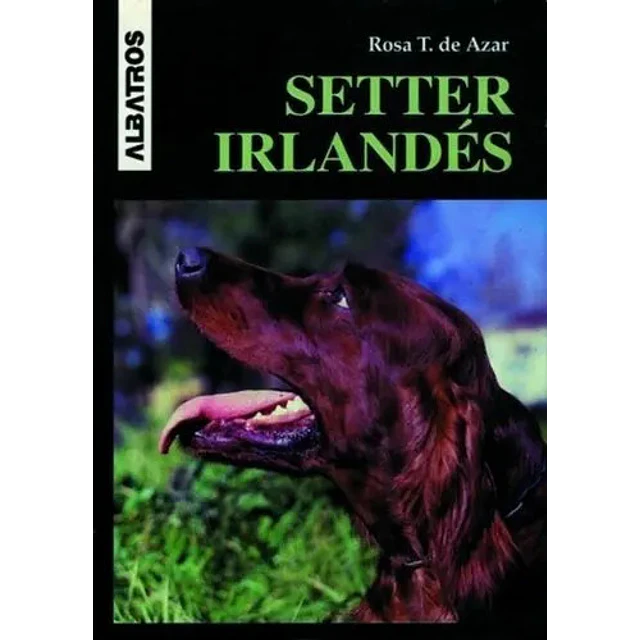 Setter Irlandes