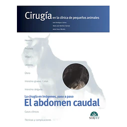 Cirugía en la clínica de pequeños animales