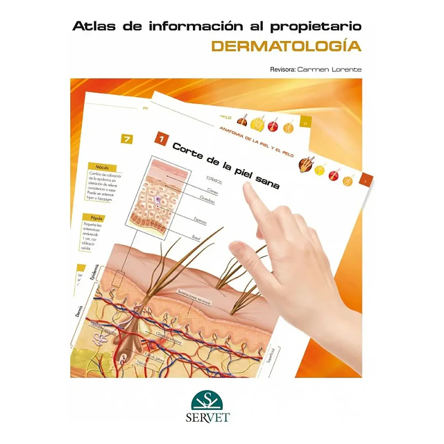 Dermatología