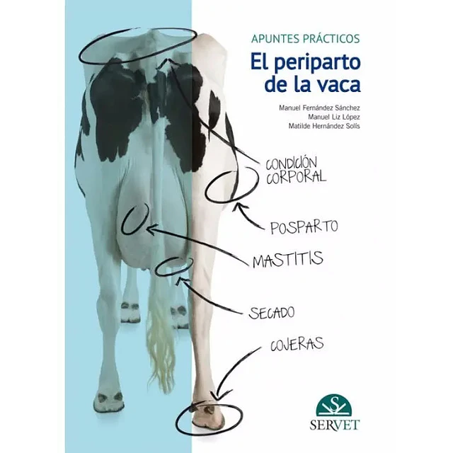 El periparto de la vaca. Apuntes prácticos