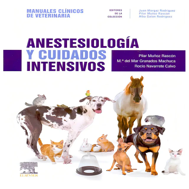 Anestesiología y Cuidados Intensivos