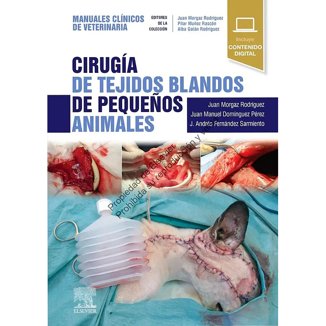 Cirugía de tejidos blandos de pequeños animales