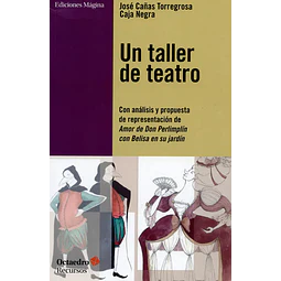 Un taller de Teatro