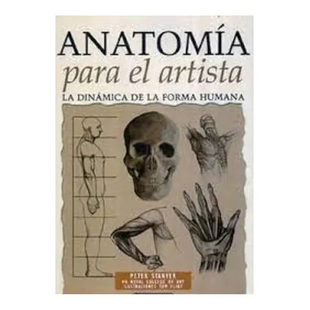 Anatomía para el artista