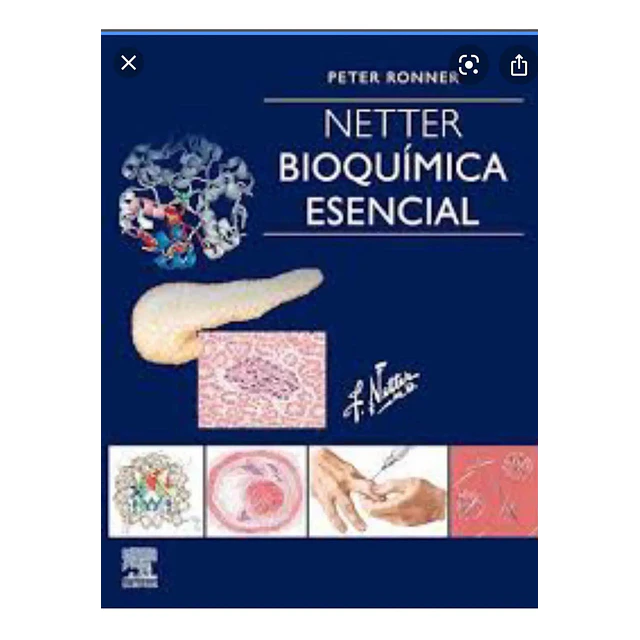 Netter Bioquímica Esencial