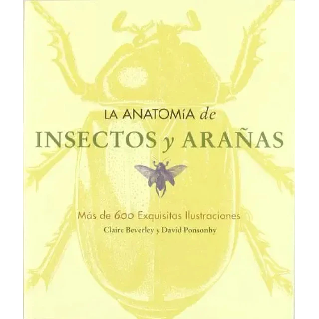 La Anatomia de Insectos y Arañas