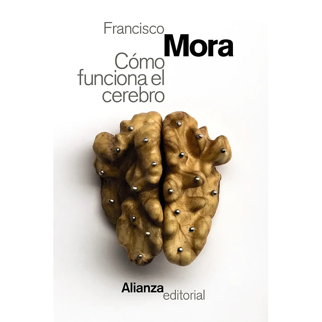 Cómo funciona el cerebro