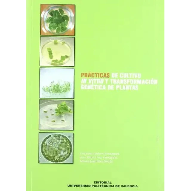 Prácticas de cultivo in vitro y transformación genética de plantas