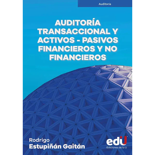 Auditoría Transaccional y Activos- Pasivos Financieros y no Financieros