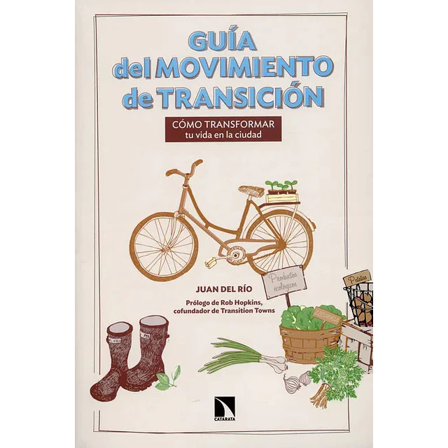 Guía del movimineto de transición