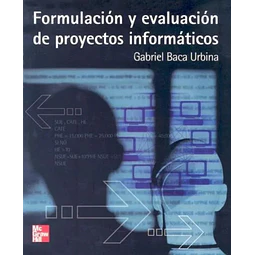 Formulacion y evaluacion de proyectos informaticos