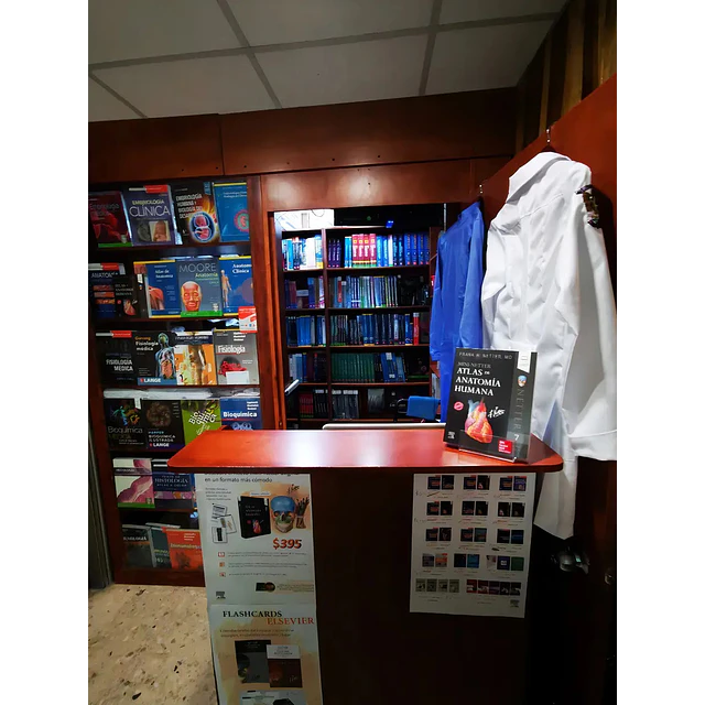 Atlas de Anatomía Humana Netter