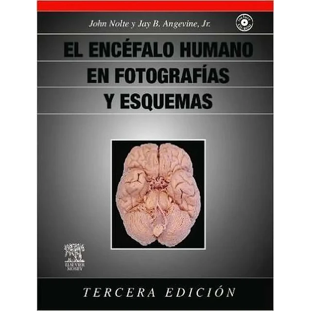 El Encefalo Humano en Fotografias y Esquemas