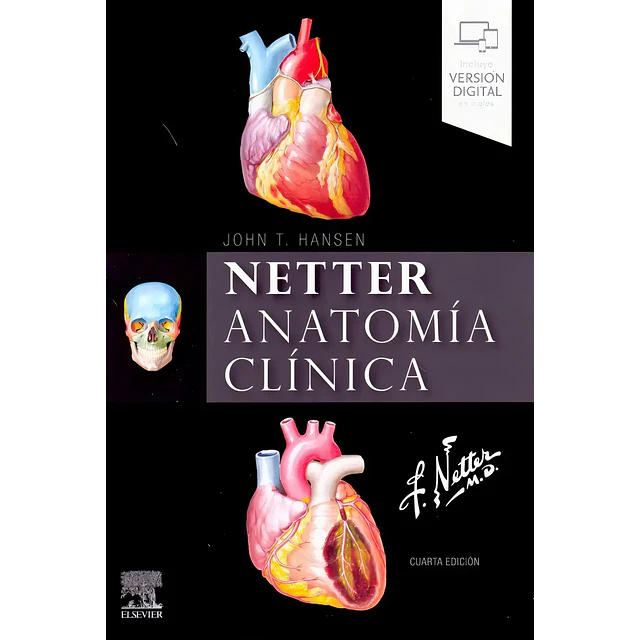 Netter Anatomía clínica