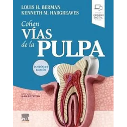 Cohen Vías de la pulpa