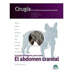 Cirugía en la clínica de pequeños animales